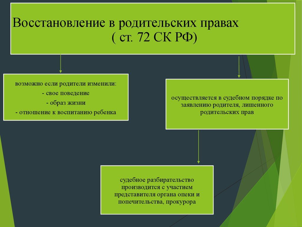 Родительские права: инфографика по СК РФ